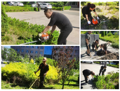 南汇城市绿化工程包括哪些项目和内容