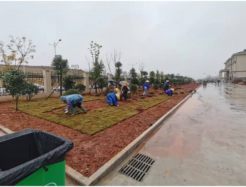 任丘市政绿化公司需要建造师吗现在