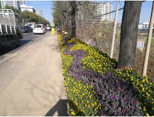 攀枝花要干市政绿化工程需要什么条件